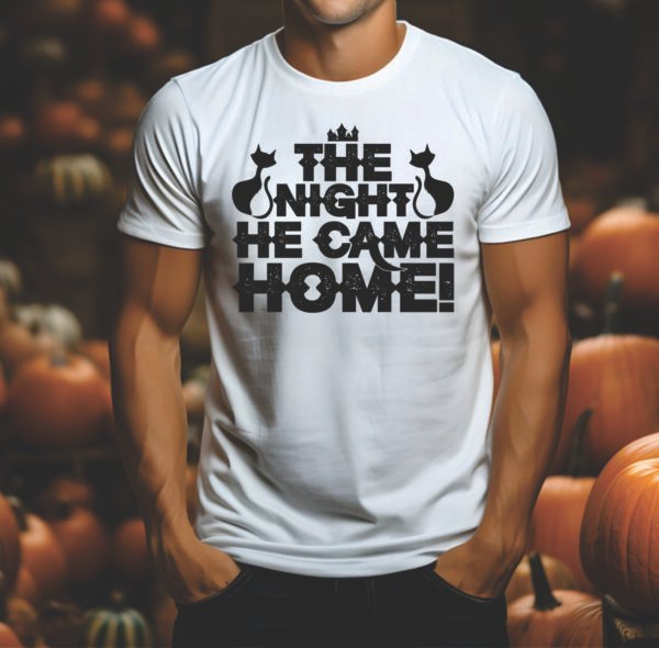 The Night He Came Home - Image 2